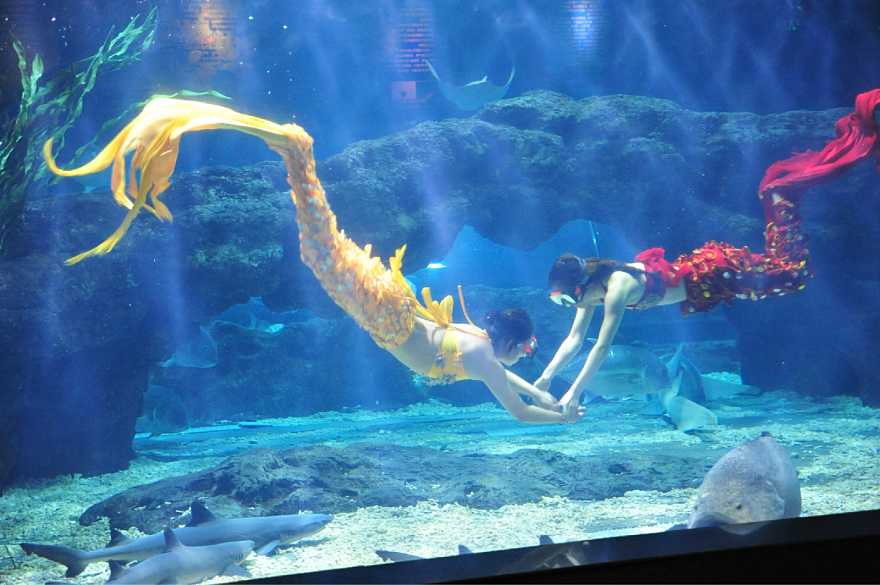 为何聪明的家长都把房子买到图书馆附近？（金水区篇）