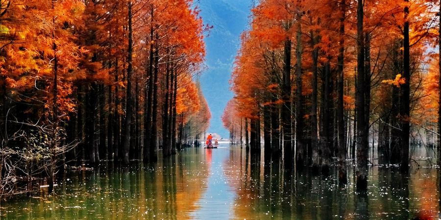 10月下旬徽州摄影推荐,金秋皖南婺源摄影之旅