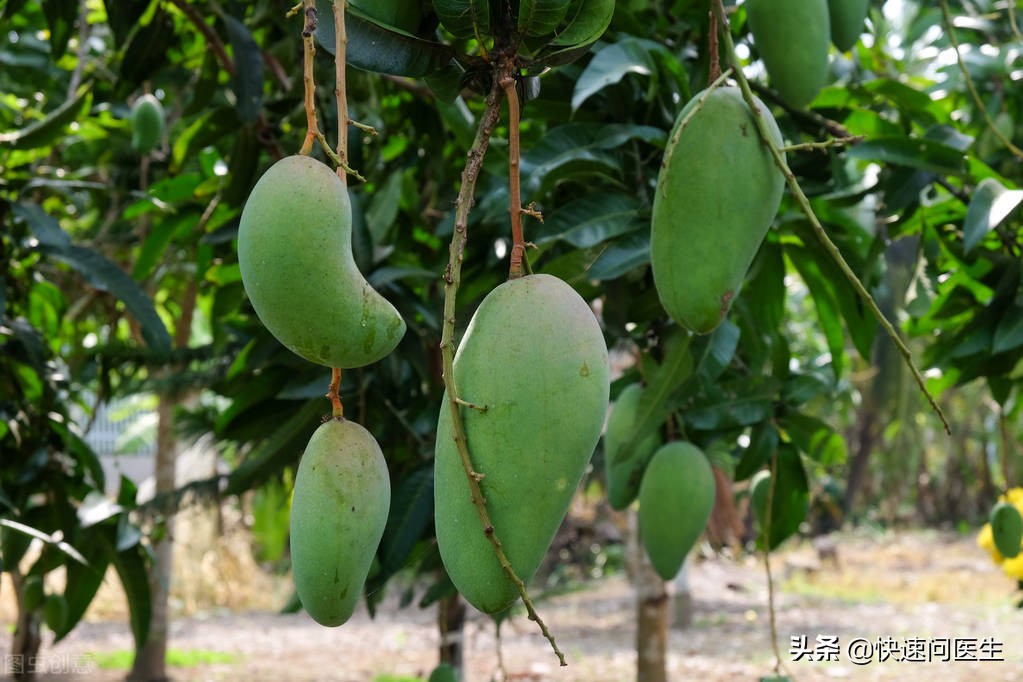 除湿气吃什么水果最好最快,四种水果越吃越瘦