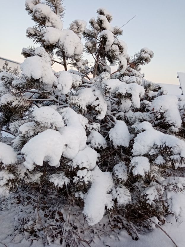 面对无理取闹的婆婆如何相处,怎么对待自以为是的婆婆