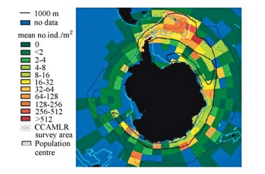 南极磷虾约10亿吨数量惊人的原因,南极磷虾数量减少最主要原因