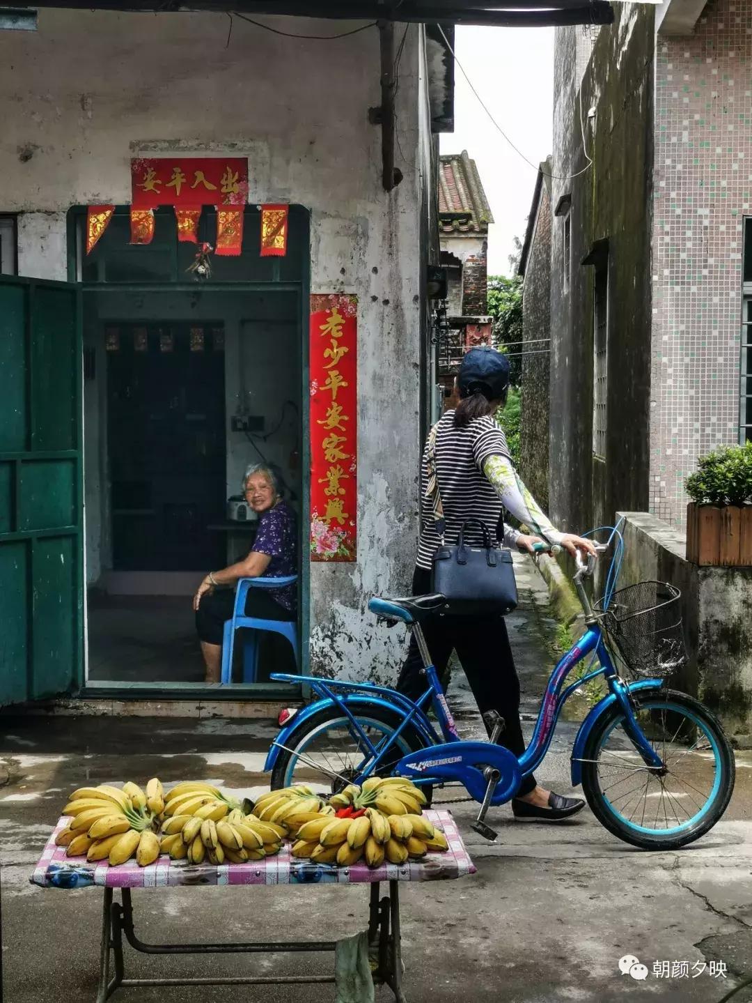 江门新会石板沙攻略,广东江门石板沙旅游景点