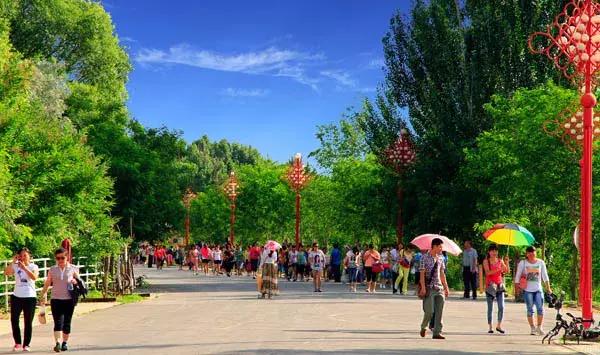 剧透慎入！今年第二十七届华莱士节要这么安排