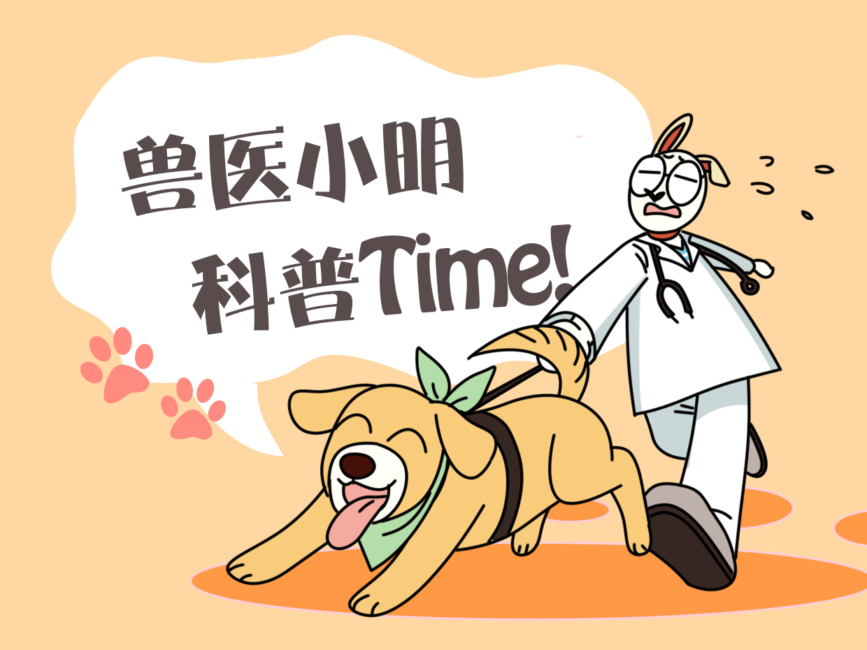 狗狗因皮肤病秃毛了,狗狗得了皮肤病剃毛后视频