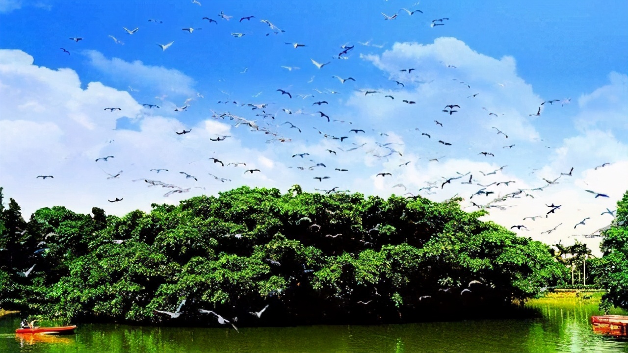 广东四会奇石河生态温泉景区,广东肇庆七星岩景区旅游攻略