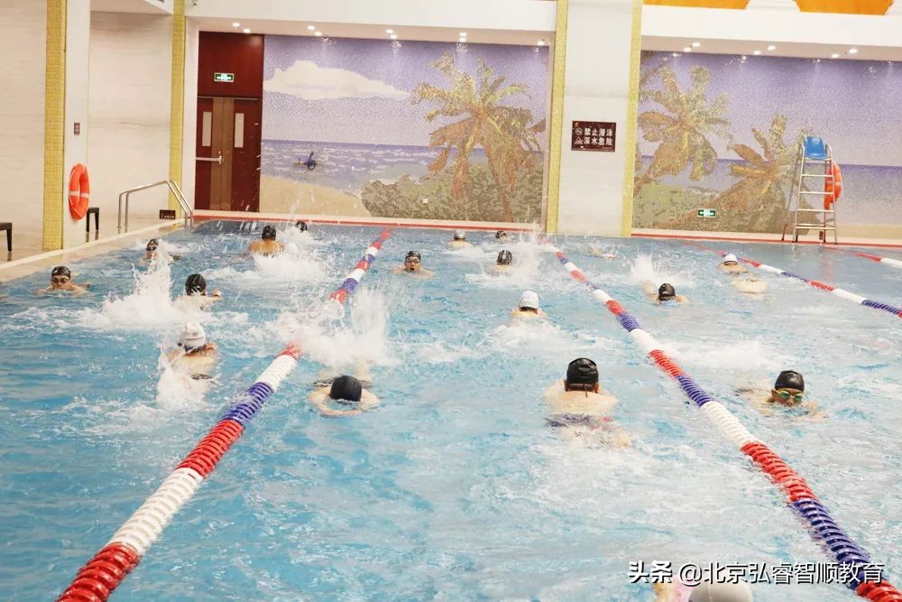 学游泳鼓励说说,学游泳9个最笨方法