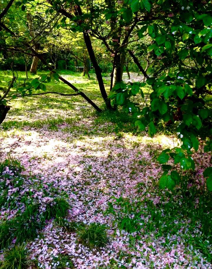 “天下三分明月夜，二分无赖是扬州”，扬州是一座怎么样的城市？