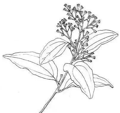 阳台窗帘加窗幔效果,千鸟格窗帘加窗幔