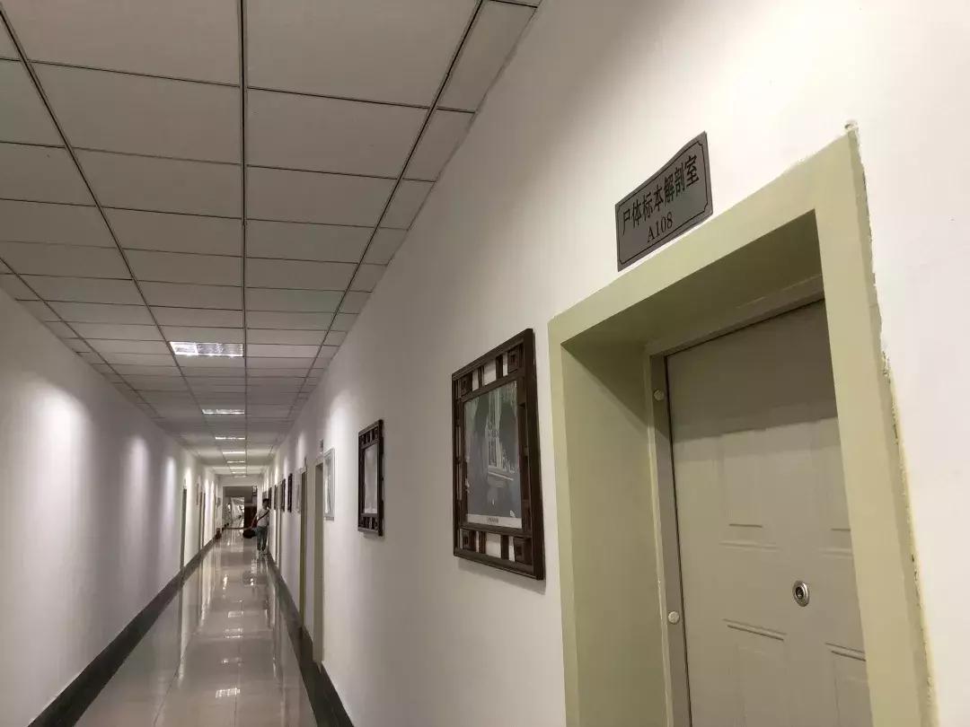 成体,一所靠“抓小偷”牢牢锁死热搜的学校