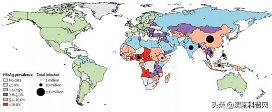 乙肝病毒是怎么攻击肝脏动画,肝炎病毒咋传染