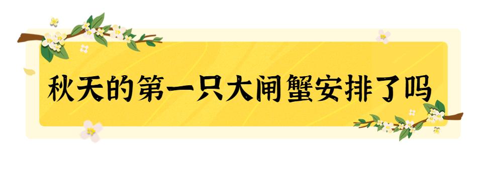 国庆香格里拉旅游住宿推荐攻略,国庆旅游人山人海香格里拉