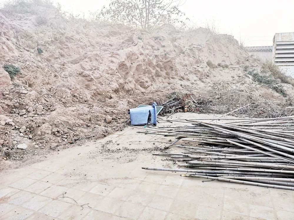 德州动植物园暂停营业,德州动植物园拆了么