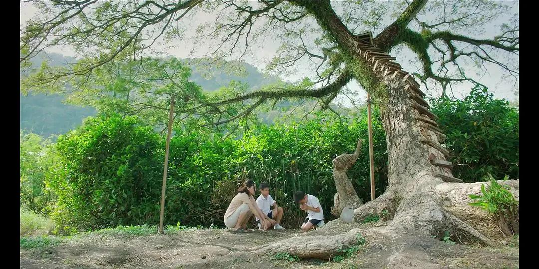 有关《南巫》的多重意境的解构，都在这里了