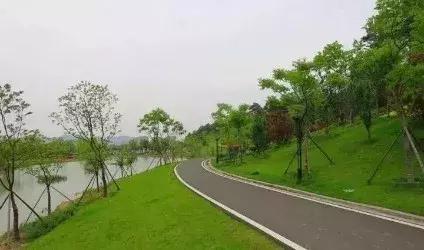 常州有没有免费的健身房,常州健身房推荐钟楼区