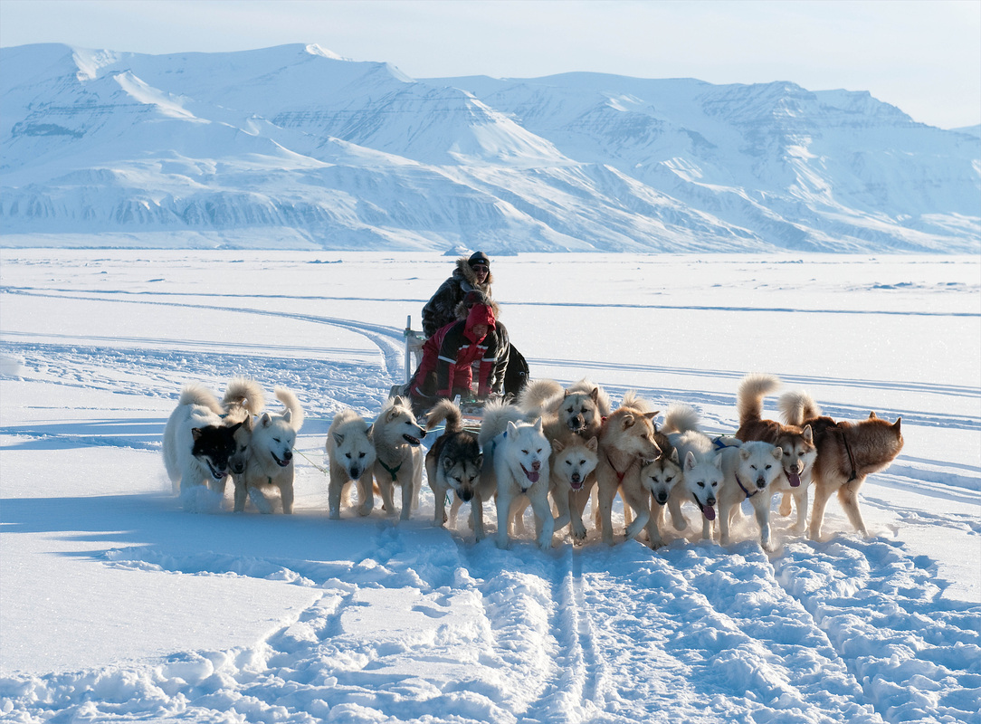 爱斯基摩人是白种人还是黄种人,爱斯基摩人和因纽特人黄种人