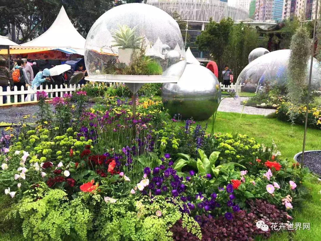 香港花卉艺术展,共赴盛会活动
