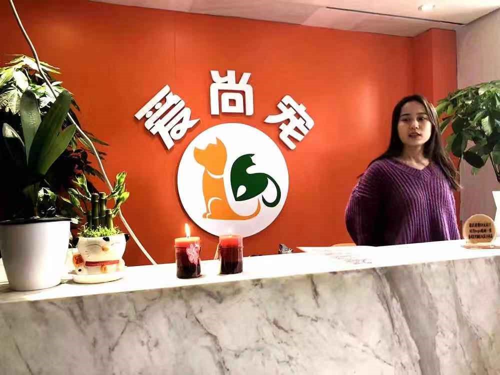 宠物加盟店怎么开,宠物行业怎么开店赚钱