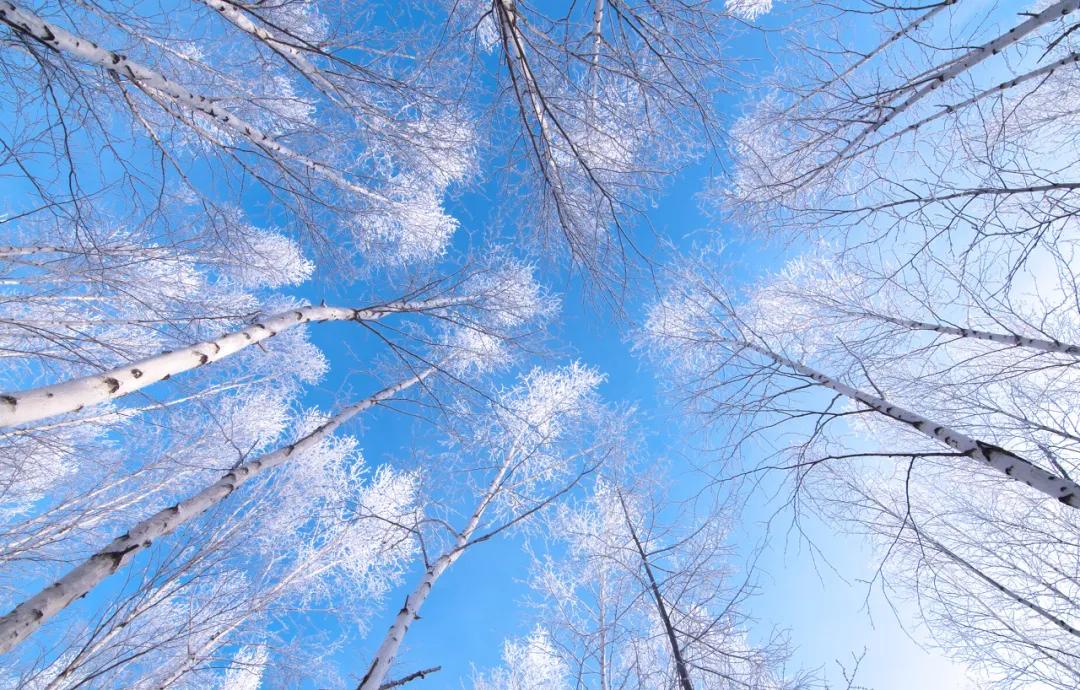 60岁前必去的中国各省区最美天堂,全国各省最美天堂你都去对了吗