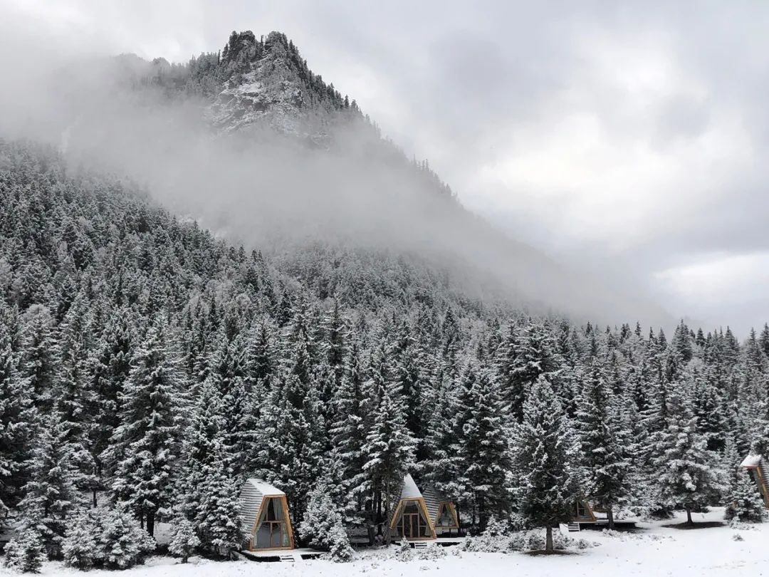 高端民宿一年营业成本600万,年赚百万的旅游民宿