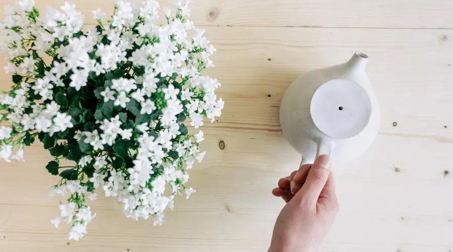 脱离对物品的执念,脱离物质的执念