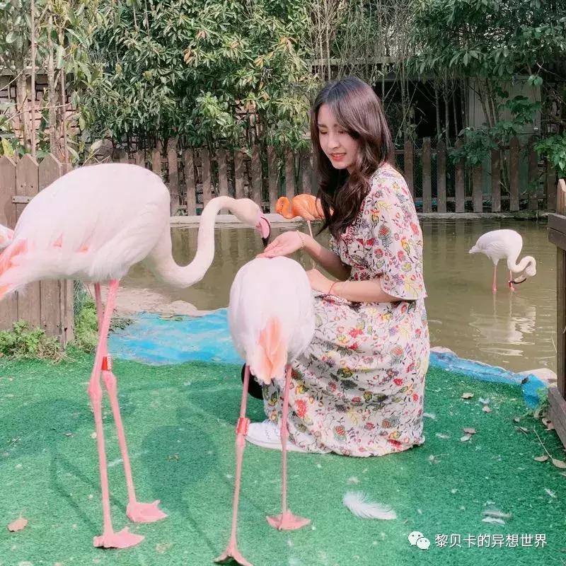 她们穿的连衣裙,她们穿的花裙子