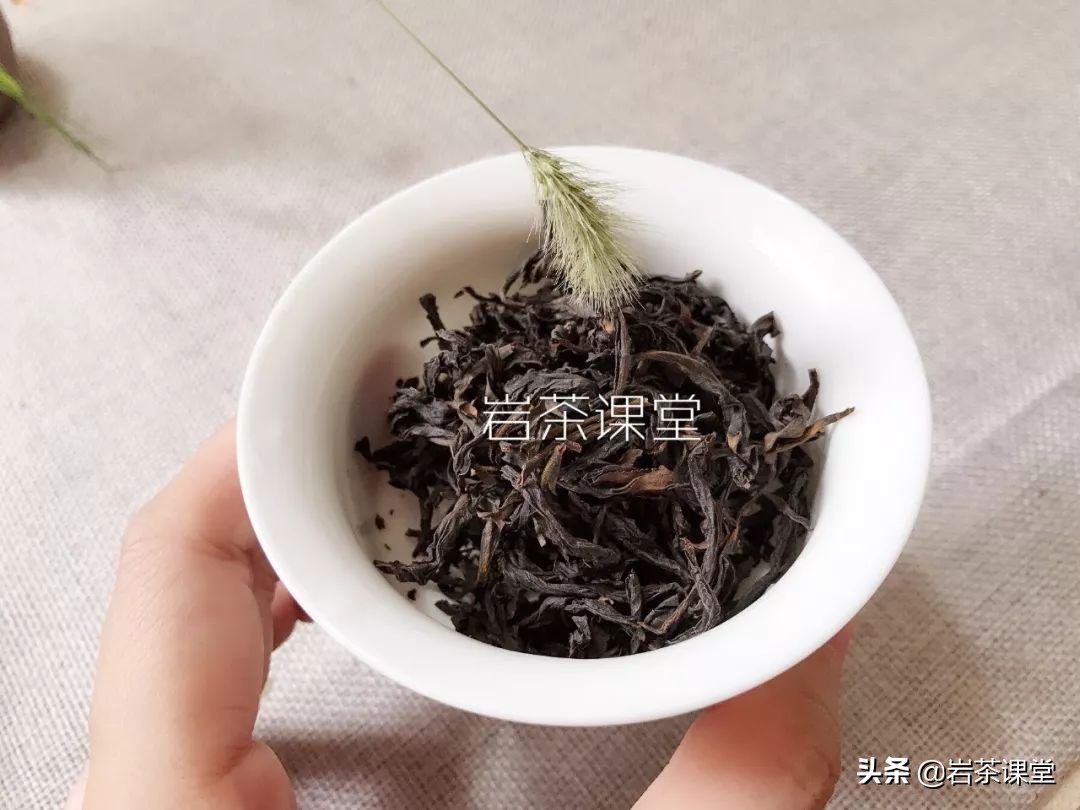 现在,能喝到2019年的武夷岩茶轻火茶吗?