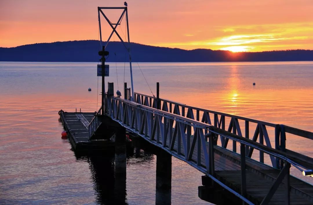 100座世界超美海岛，有你喜欢的吗？