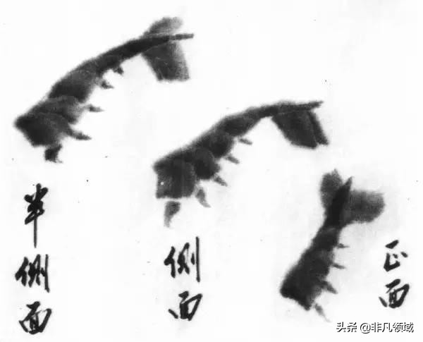 齐白石画虾时的动作语言神态,中国近代四大画家齐白石画虾