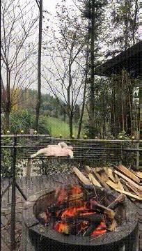 刚从后院挖出来的，大家帮我鉴定一下，我是不是要发财了？