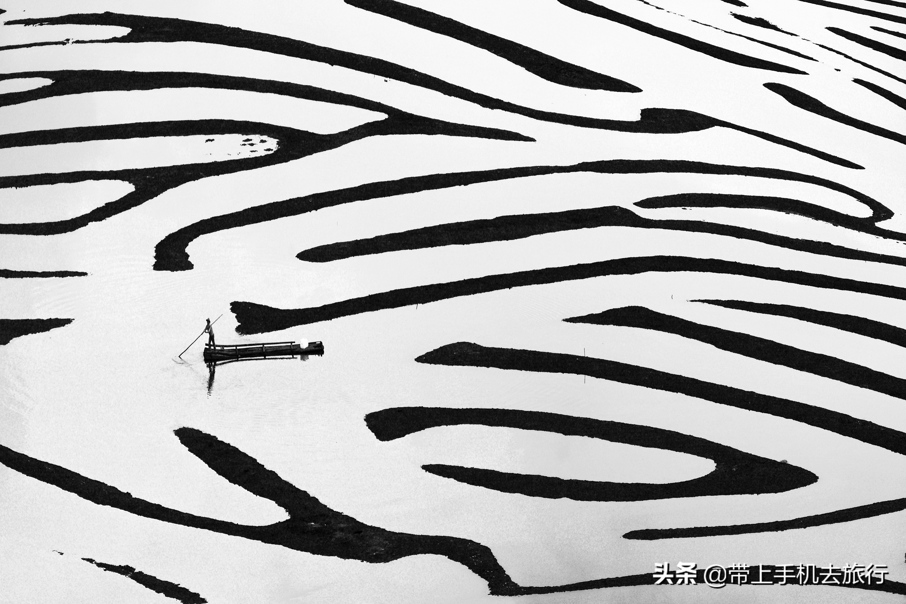 黑白效果适合什么照片,怎样才可以拍成黑白照片