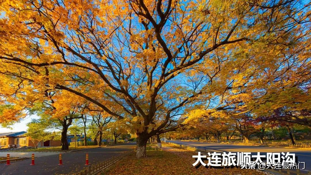 2020年大连市几个区的排名,大连市2023年旅游数据