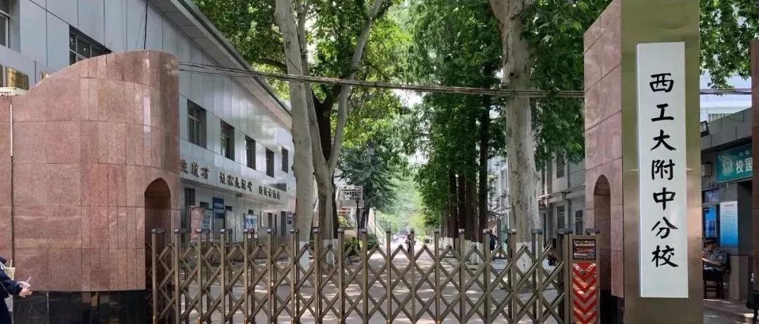 西安小升初家长排队,西安小升初怎么上五大名校