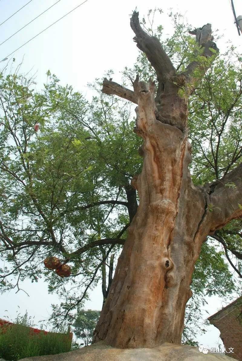 我骄傲我是介休人朗诵,我骄傲我是山西泽州人