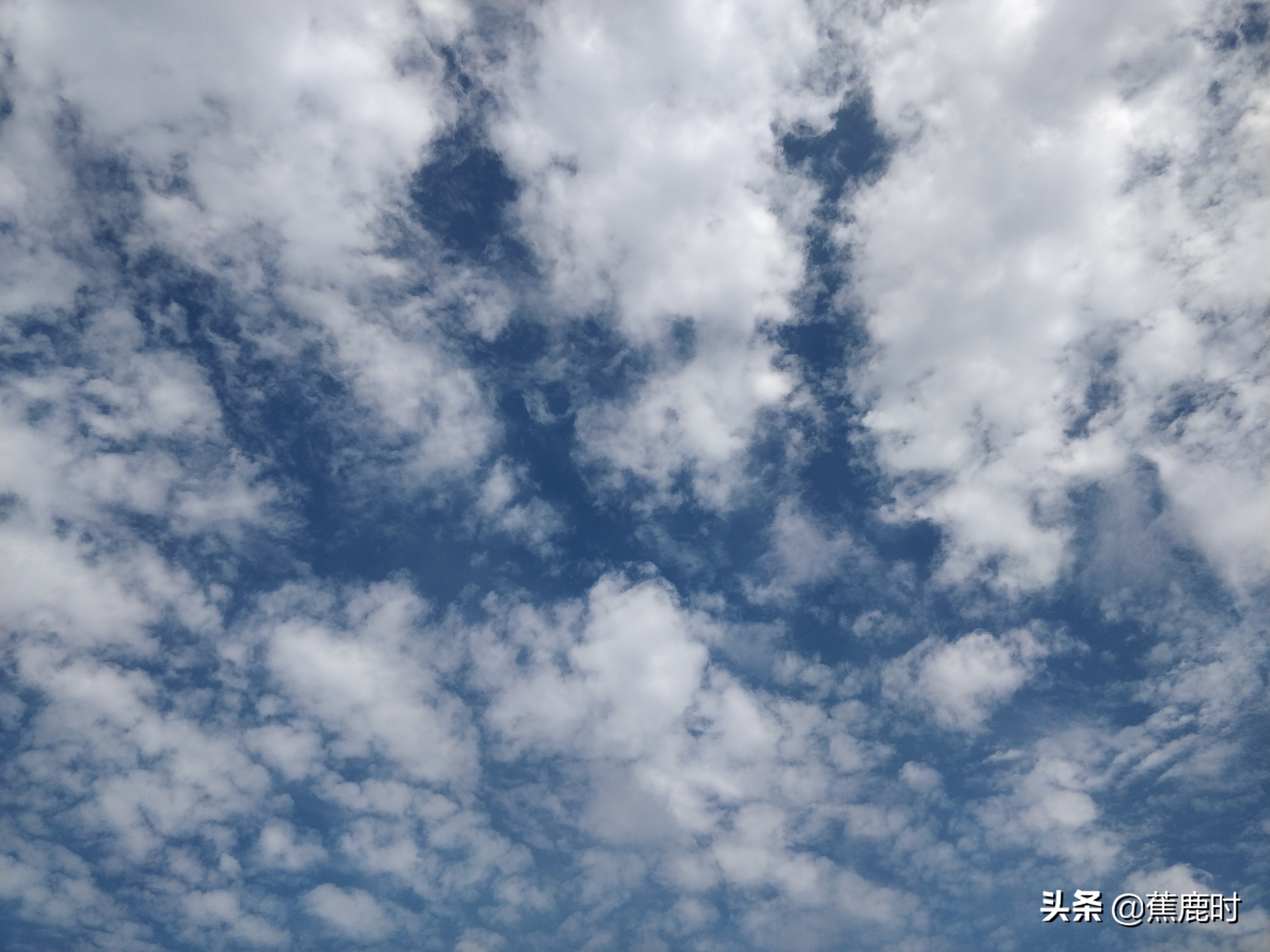 【原创小说连载《路回》】三回青县喜逢宋大人张沐欲作卖花郎