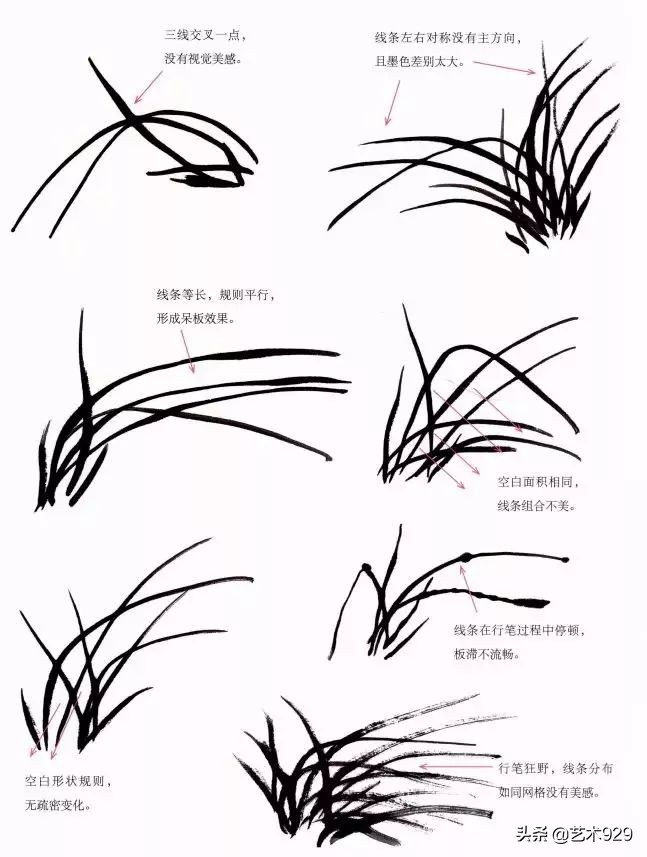 国画兰花的画法太棒了简单易学,泰国兰花绘画技法