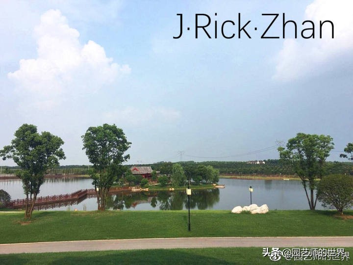 怎样种植草坪技术,果岭草坪的种植养护方法及技巧