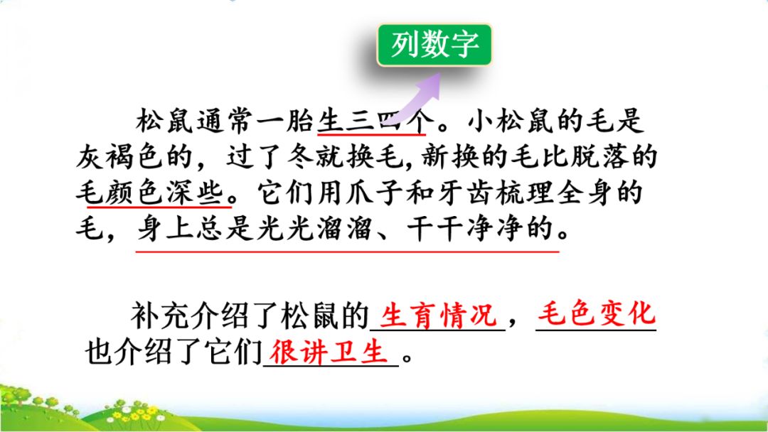 五年级语文第17课松鼠讲解,五年级上册第17课松鼠教材详解