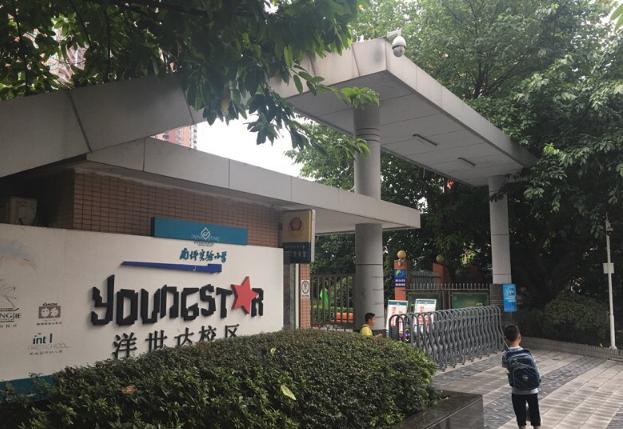 重庆南岸区公立小学学校,重庆南岸区小学排名一览表