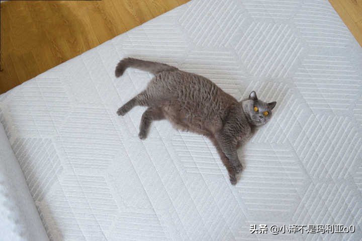 躺平青年的睡眠好物！8H黑金刚大口径独立弹簧乳胶床垫深度体验