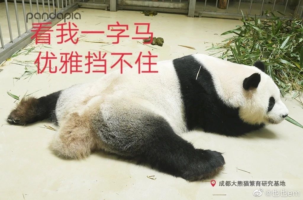 因为你们，“爱豆”的世界离我们不再远咯