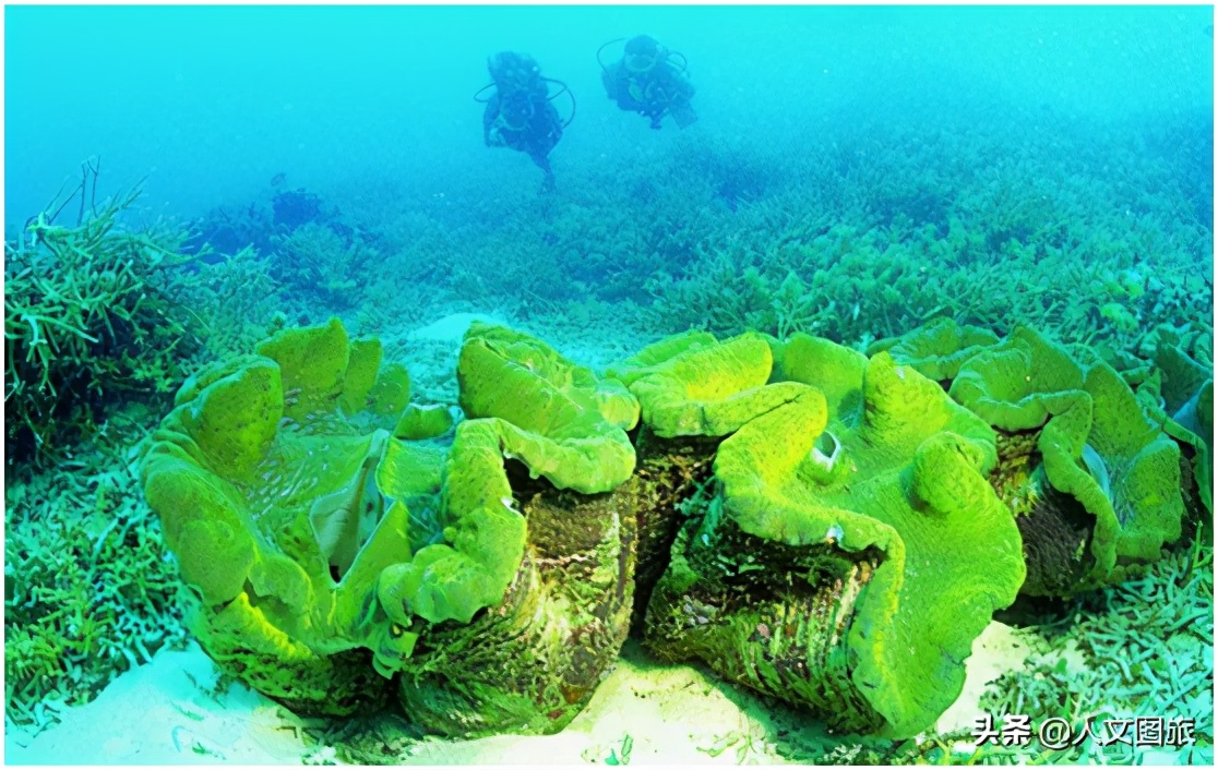 潭门博物馆镇馆之宝 (千年古港老潭门)