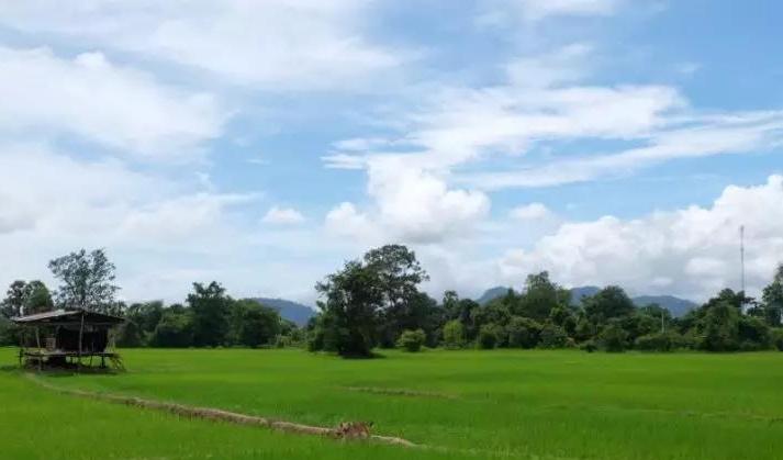 这个女孩独自，走遍韩国、斯里兰卡等数十个国家，却备受质疑