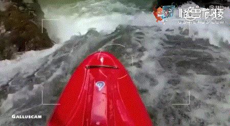 为了拍照防抖，有人叫了一只鸡...