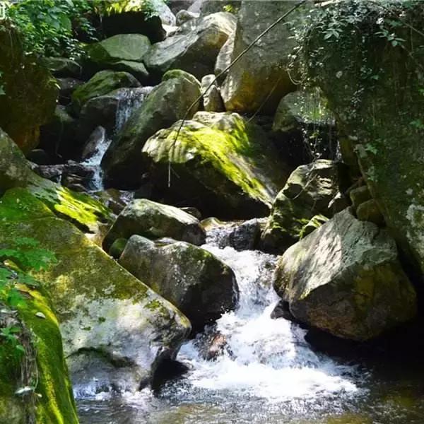 悬崖滑梯风景区,悬崖峭壁雪滑梯