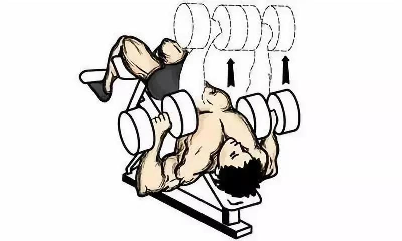 撸铁教程初级练胸,纯新手小白如何练胸