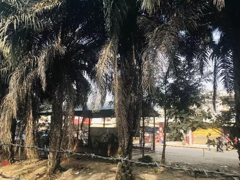 来姐告口岸体验一把非一般的跨境“网”商