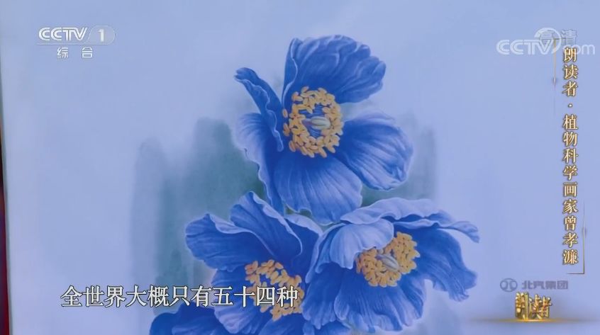 消失30年的寄生花再现,绝迹重生40