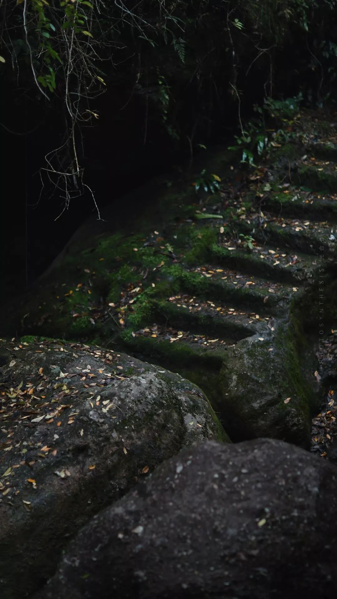 古代文人理想的诗句,古代文人雅士生活四艺