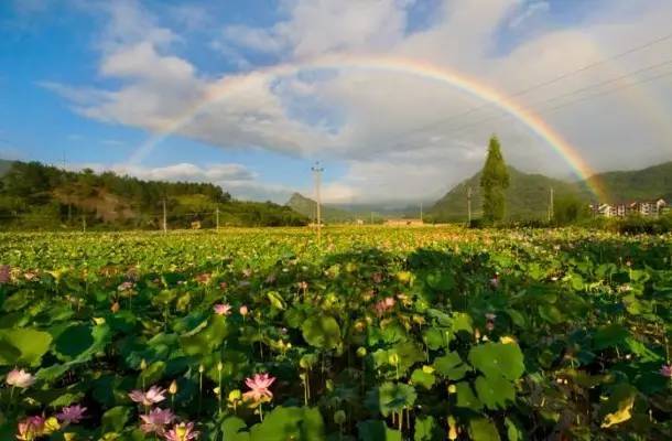 国家农业综合开发项目,农业综合开发产业