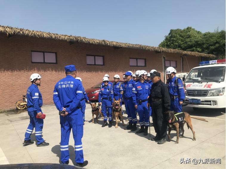 第二只金钱豹被搜救犬咬死,金钱豹被几只狗拿下